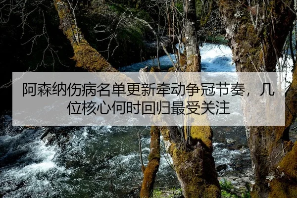 阿森纳伤病名单更新牵动争冠节奏，几位核心何时回归最受关注